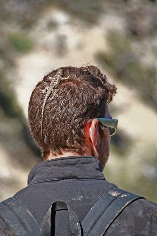 img_0538.jpg