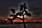 img_3575_3_4hdr_small.jpg