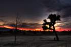 img_3585_6_7hdr_small.jpg